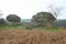 Unusual natural rock formation in England