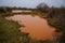 Unusual orange color of the water in the small lake