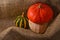 Unusual orange hat pumpkin and small watermelon