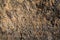 Unusual rock background texture rough with swirls