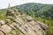 Unusual rocks in the mountains. Trees growing from stone. Altai region, Russia.