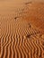 Unusual sand dune pattern details