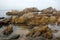 Unusual sandstone emerging from the sea. reef rocks on natural background.