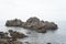 Unusual sandstone emerging from the sea. reef rocks on natural background.