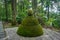 Unusual sculpture in moss in the forest