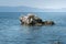 Unusual seascape with bizarre stone that looks like an animal in blue sea water. Nature background. Greece, Halkidiki