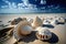 Unusual seashells on the beach with a wide angle view