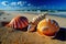 Unusual seashells on the beach with a wide angle view