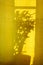 Unusual shadows and silhouettes from plants on yellow textiles. Trendy abstract background.