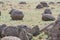 Unusual spherical shape of stones in the Kazakh steppe Mangistau