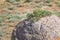 Unusual spherical shape of stones in the Kazakh steppe Mangistau