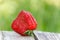 Unusual square-shaped strawberries, close-up. Latest trend - Eating ugly fruits and vegetables. Reduction of food organic waste