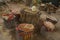 Unusual tables and chairs made of hemp, on top of traditional Cape carpets with a pattern. Cappadocia, Turkey