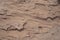 Unusual texture of sand