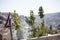 An unusual view of the old city quarters of Jerusalem and the Mo