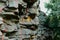 An unusual view in the Rostov region of the stony Zaitsev rocks, around green deciduous trees, dry yellow grass