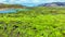 Unusual volcanic lava plain landscape, Volcanic mountain covered with green moss in early spring, Clear glacier river