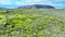 Unusual Volcanic Lava Plain Landscape. Volcanic Mountain Covered With Green Moss in Early Spring. Pure Untouched Nature