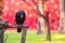 An unusually beautiful scene of a black crow perched in front of a festively painted building, blurred strangely by a bokeh lens e