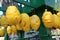 Unusually large lemons sold at the market