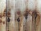 Unvarnished wooden fence panels