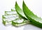 Unveiling the Healing Powers of Aloe Vera: Stunning Photo of Leaf and Slices Reveals Nature\\\'s Miracle Plant