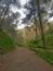 Unveiling the hidden beauty of the natural mountain footpath through the valley