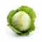 Unveiling the Mesmerizing Simplicity of a Lone Cabbage on a White Canvas