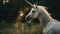 Unveiling the Mystical and Enigmatic Real Unicorn. A Creature of Legends and Fantasy