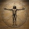 Unveiling perfection: timeless allure of vitruvian man, leonardo da vinci's iconic representation of human