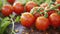 Unveiling the Vibrant Charm of Cherry Tomato