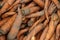 Unwashed fresh carrots, closeup