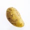 Unwashed potato is isolated on white background