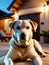 Unwind and Relax A Dog Friendly Vacation at a Serene Resort.AI Generated