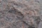 Unwrought surface of pink granite stone