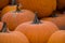 Up Close Bunch of Orange Pumpkins Background