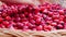 Up close - female hand in the braided wooden basket full of fresh red Rosehips. Berries from the dog rose