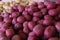 Up-close image of red potatoes at a Farmer`s Market