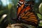 Up Close and Personal with a Monarch Butterfly, Generative AI