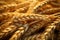 Up close perspective on a heap of bountiful golden wheat