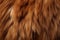 Up close view of a llamas luscious brown fur texture and color