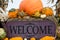 Up Close Welcome Sign Surrounded by Orange Pumpkins and Gourds and Corn