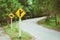 Up hill road way forest mountain with traffice sign