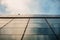 Up view on modern business office building and sky on the background. Urban exterior and tall perspective.