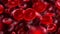 An upclose view of red cells appearing like round crimson jewels against a dark background. . AI generation