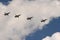 Upgraded front-line bombers with a variable sweep wing Su-24M in the sky over Moscow`s Red Square during the dress rehearsal of th