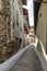 Uphill cobbled street, Gromo, Italy