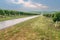 Uphill road through vineyards on cloudy day