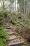 Uphill trail with wooden steps leading to a path with wooden handrails in Tacoma, Washington