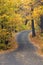 Uphill Winding Autumn Canopied Road